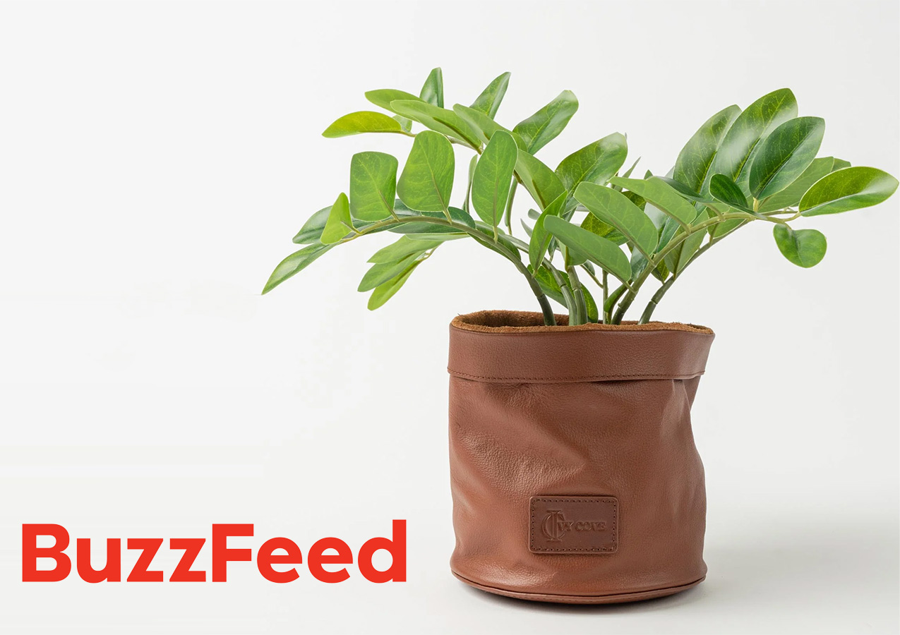 Ivy Cove Driftwood Leather Planter in Buzzfeed