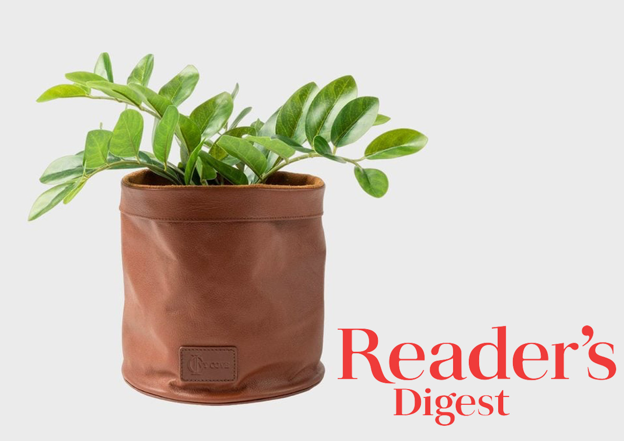 Ivy Cove in Reader's Digest